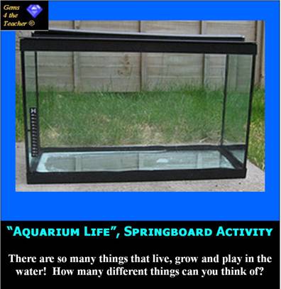 aquarium.jpg